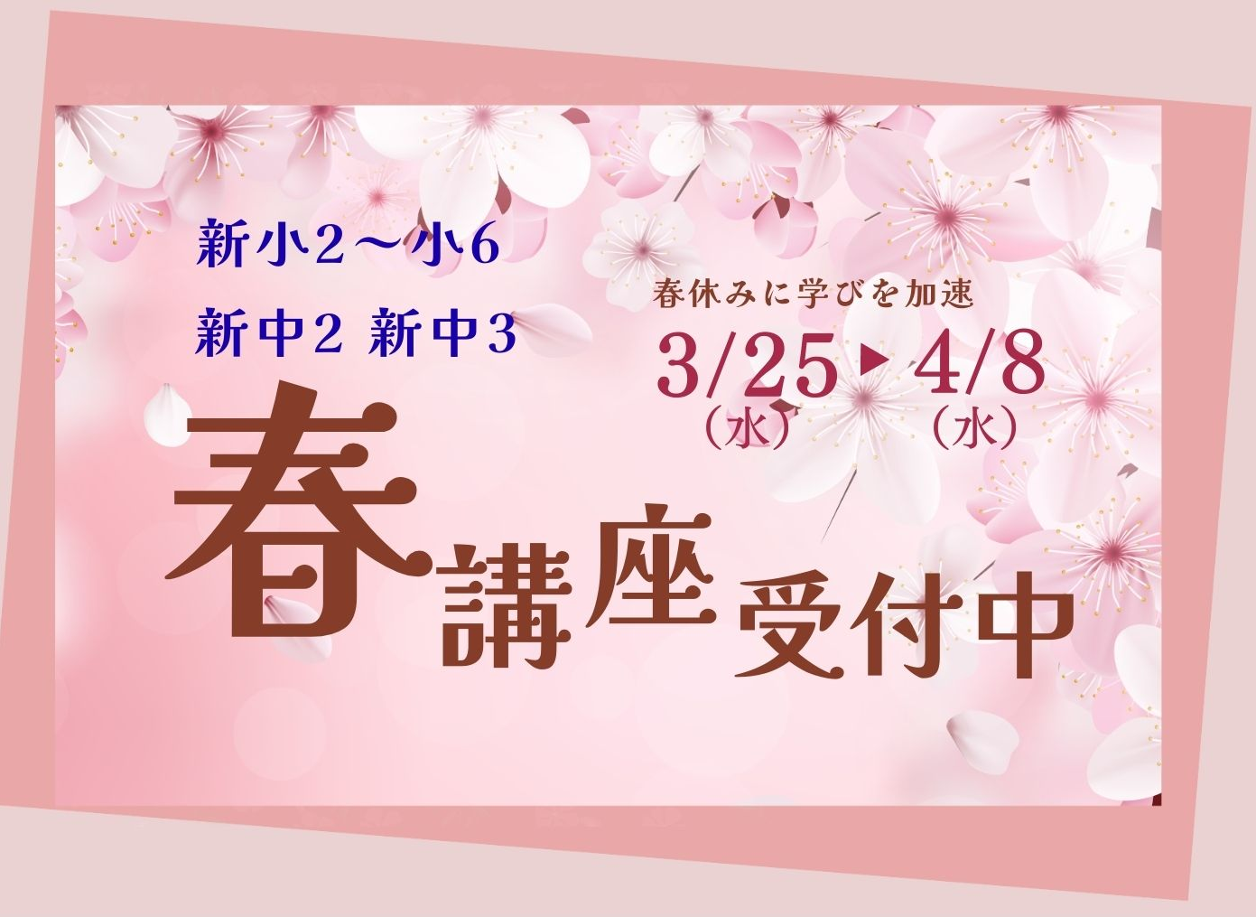 🌸3/25(水)スタート🌸 春講座受付中